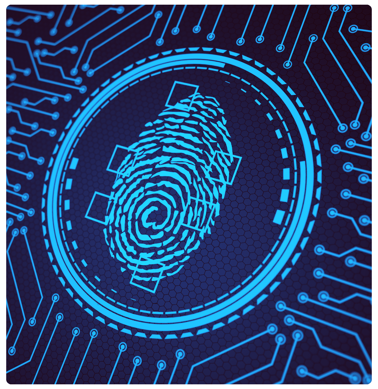 Fingerprint IAM security concept