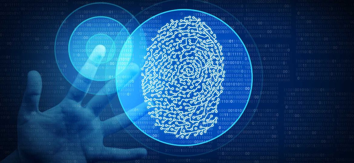 Identity intelligence fingerprint