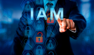White Paper- The Power of Identity